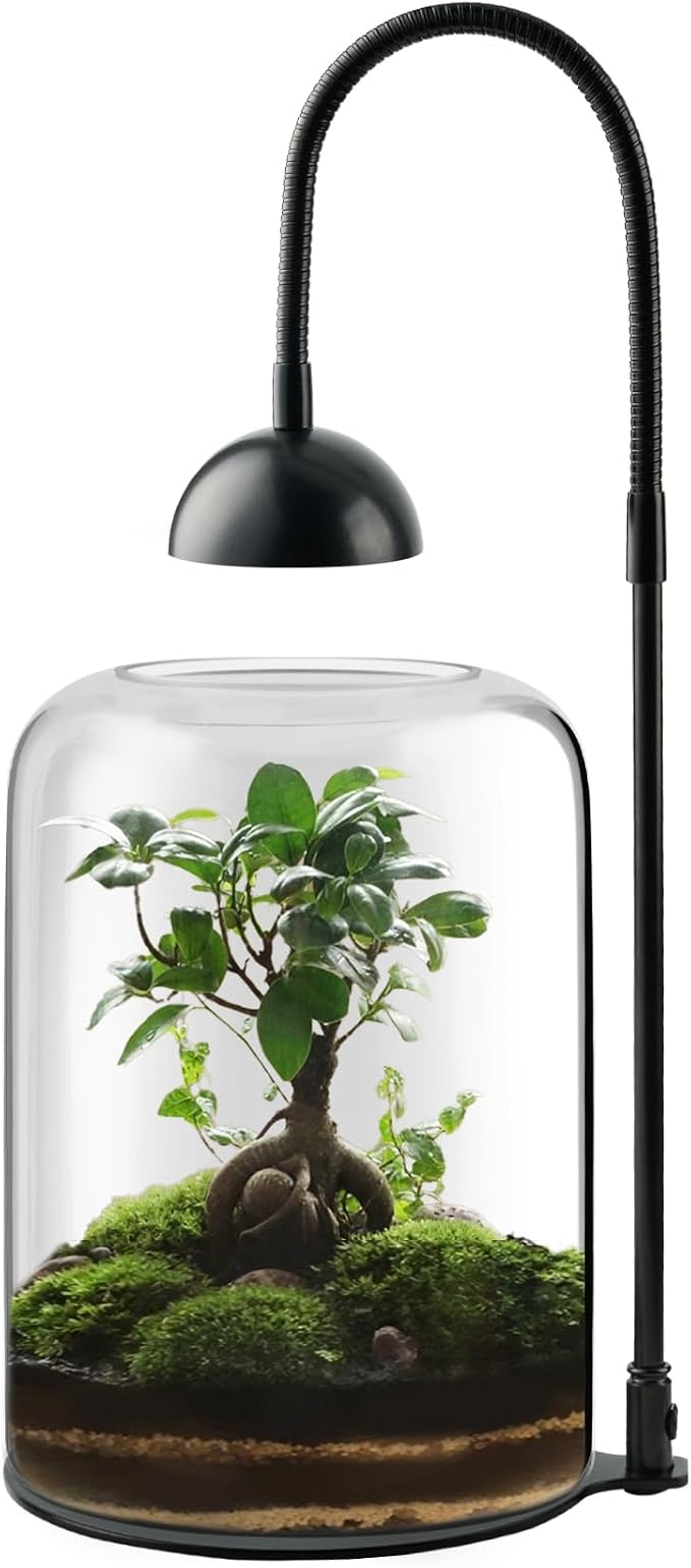 Glass Plant Terrarium with LED Grow Light, Adjustable Ventilation Desktop Indoor Planter for Venus Fly Trap, Moss & Succulents, 8.2" Borosilicate Mini Greenhouse for Home Office Decor