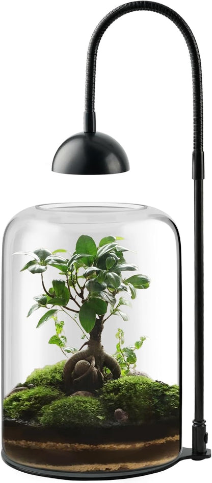 Glass Plant Terrarium with LED Grow Light, Adjustable Ventilation Desktop Indoor Planter for Venus Fly Trap, Moss & Succulents, 8.2" Borosilicate Mini Greenhouse for Home Office Decor