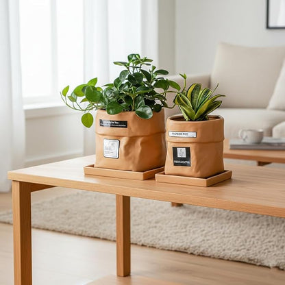 Nihow 8 Inch Ceramic Plant Pot with Drainage & Square Saucer,Terracotta | Bag Shape Design,Indoor & Outdoor,Living room/Office/Bedroom/Windowsill/Tabletop,Plant Lovers/Gardeners/Beginners