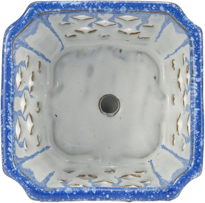 W&W Orchid Pot with Holes and Saucer for Repotting and Better Grow, Blue and White, 7"