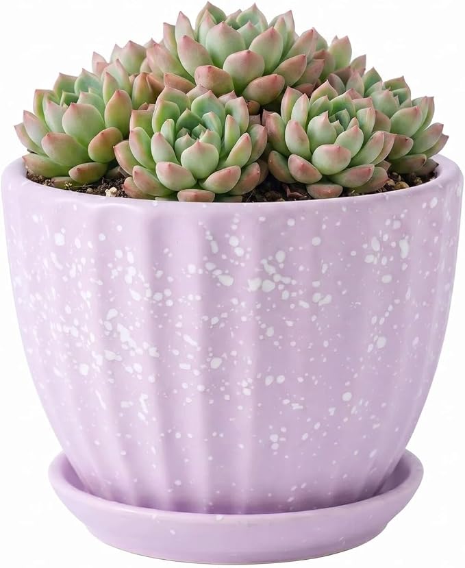 4 Inch Ceramic Indoor Succulent Plant Pots with Drainage Holes and Saucers, Bonsai Planter for Succulent, Cactus, Small Flowers (Pink)