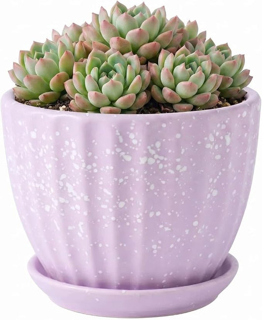 4 Inch Ceramic Indoor Succulent Plant Pots with Drainage Holes and Saucers, Bonsai Planter for Succulent, Cactus, Small Flowers (Pink)