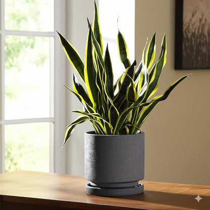 Nihow Ceramic Plant Pot Drainage Hole & Saucer for Indoor Plants, 5.7 Inch | Charcoal Gray, Cylinder Planters, Art Modem Design, Home Garden Patio Office