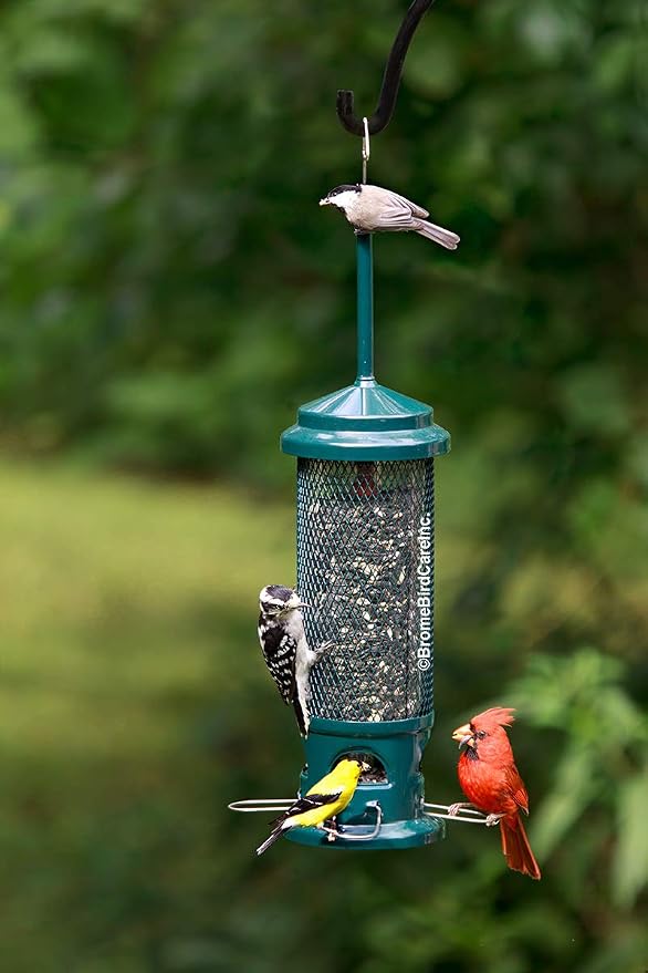 Squirrel Buster Legacy Squirrel-Proof Bird Feeder for Wild Birds – 4 Metal Removable Perches, 2.6 lb Seed Capacity, Chew-Proof Design, Easy to Clean, Green | 2.6 Lb Capacity, 4 Metal Perches and Ports, Weight-Adjustable Squirrel-Proof Shroud, Chew-Proo...