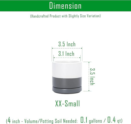 D'vine Dev Set of 4 Small Ceramic Plant Pots, 3.5 Inch Succulent Planter Pot for Plants with Drainage Hole and Saucer, White/Speckled Grey, 94-X-A-6