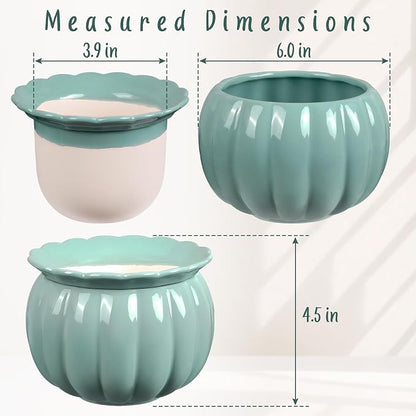 African Violet Pots, Self-Watering Ceramic Planter for Indoor Plants – 6 Inch Pot for Succulents, Herbs & Small Houseplants, Decorative Self-Watering Pot for Home & Office, Blue