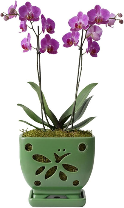 Orchid Pots with Holes Square Ceramic Orchid Planter Pots 5.5 inch (Green)