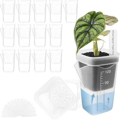15 Pack 2" Self Watering Pots for Indoor Plants,Mini Clear Plastic Planters with Water Level Indicator & Drainage Holes for Alocasia Propagation, African Violets, Seedlings, Cuttings and Succulents