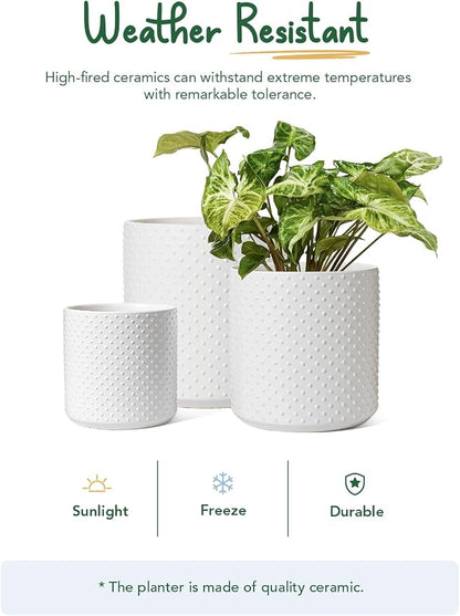 LE TAUCI 10+8+6 Inch Ceramic Pots for Plants, Indoor Planters with Drainage Hole and Plug, Raised Dots Cylinder Flower Pots Set of 3 for Living Room and Bedroom, Matte, White