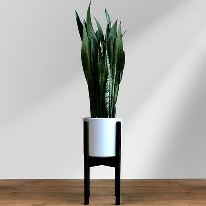Fox & Fern Adjustable Plant Stand Indoor — 8 to 12 Inch Premium Mid Century Bamboo Plant Stand with Adjustable Width; Plug In Design; Easy to Assemble; Two Heights - For 8, 9, 10, 11 & 12 Inch Pots