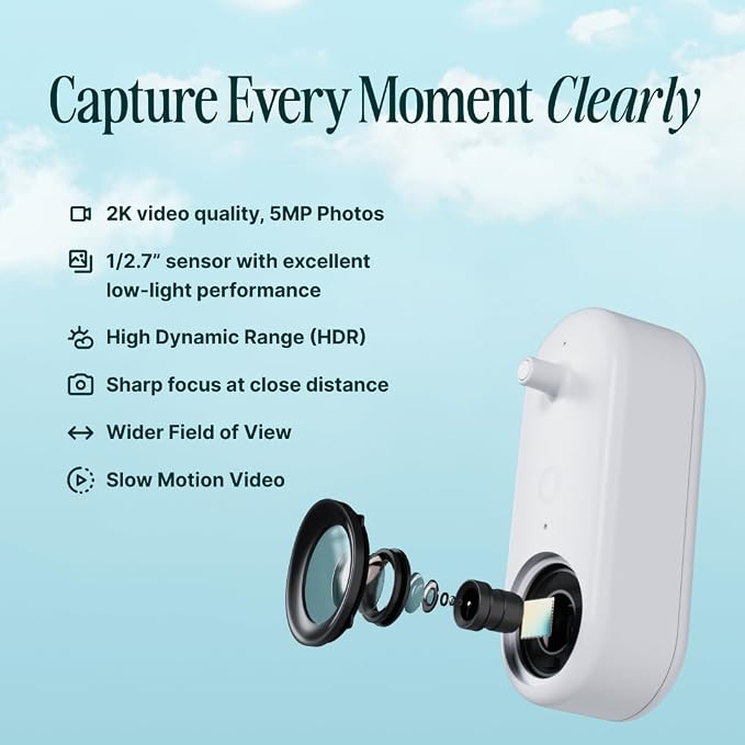 Birdbuddy Solar Hummingbird Feeder with Camera, AI Bird ID, 2K Video, Photo