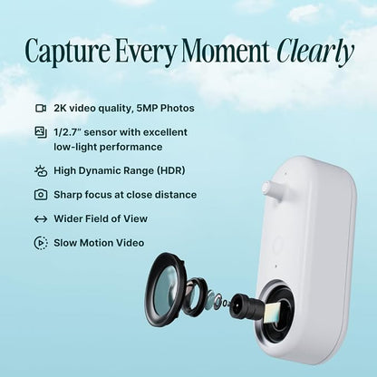Birdbuddy Solar Hummingbird Feeder with Camera, AI Bird ID, 2K Video, Photo