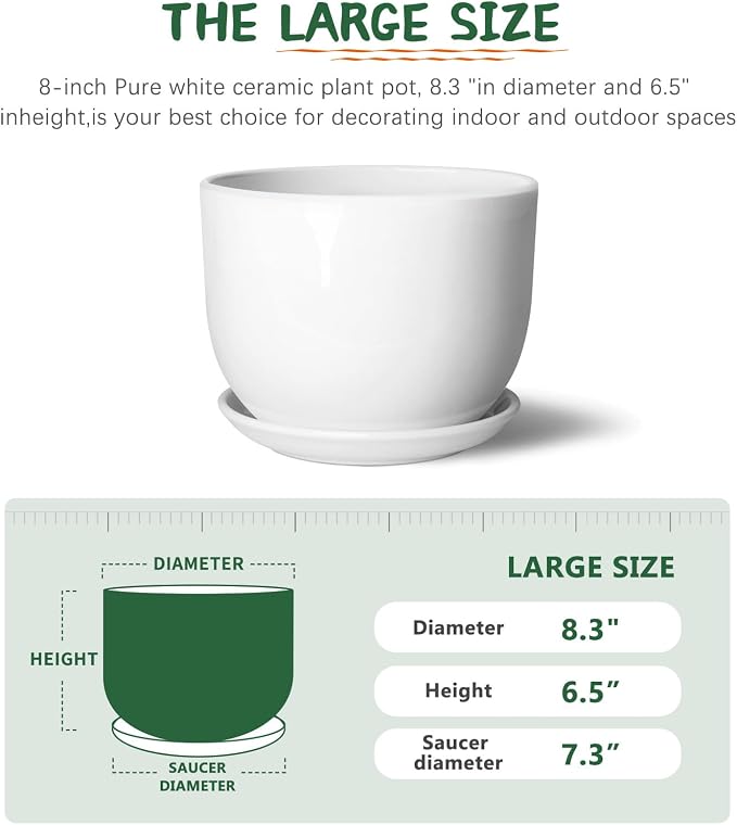 8 Inch Ceramic Planter, Plant Pots with Drainage Hole and Separable Saucer,Indoor-Outdoor Round Succulent Orchid Flower Pot,Indoor pots for Plants(White,Plant Pot only)