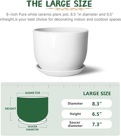 8 Inch Ceramic Planter, Plant Pots with Drainage Hole and Separable Saucer,Indoor-Outdoor Round Succulent Orchid Flower Pot,Indoor pots for Plants(White,Plant Pot only)