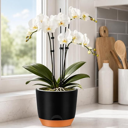 QCQHDU 7.2Inch Orchid Pots with Holes for Repotting, Double-Layer Plastic Self Watering Flower Pots for Indoor Plants with Drainage Holes, Clear Orchid Pot Match Decorative Orchid Container, 5 Packs