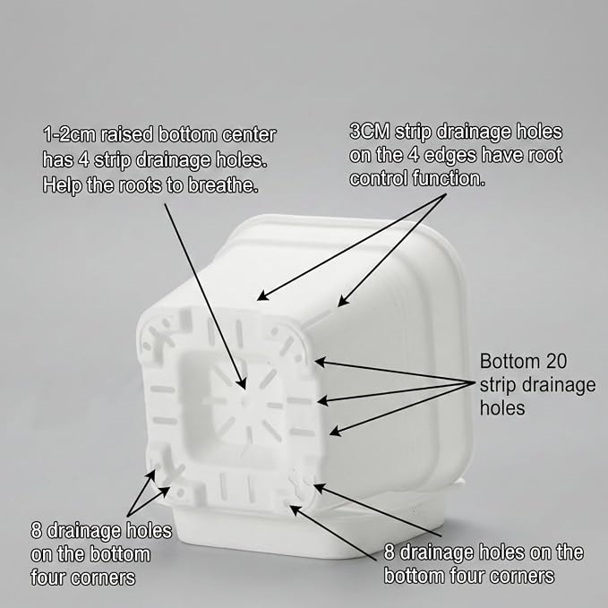 6 Pack 6/8/10 Inch Square Plant Pots with Saucers - 24-Strip Airflow Drainage for Root Health - Heavy Duty 5mm Thick White Plastic Orchid Planters for Indoor Outdoor Flowers, Herbs & Succulents