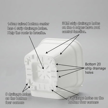 6 Pack 6/8/10 Inch Square Plant Pots with Saucers - 24-Strip Airflow Drainage for Root Health - Heavy Duty 5mm Thick White Plastic Orchid Planters for Indoor Outdoor Flowers, Herbs & Succulents