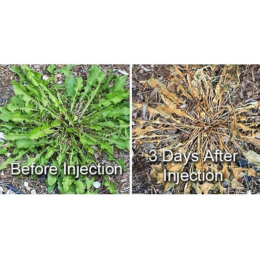 Dandelion Weeder Tool-Manual Weeder, Hand Weeder/Puller Alternative- Dandelion Illimination-Inject Root with Vinegar- Attach to Garden Sprayer-No Digging, Pulling, No Holes to Repair-Patent Pending