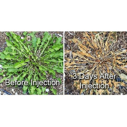 Dandelion Weeder Tool-Manual Weeder, Hand Weeder/Puller Alternative- Dandelion Illimination-Inject Root with Vinegar- Attach to Garden Sprayer-No Digging, Pulling, No Holes to Repair-Patent Pending