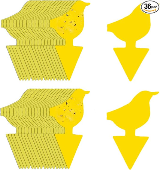 Kate's Home & Garden 36 Count Fruit Fly Traps for Indoors and House. Yellow Sticky Trap for Gnats, Mosquitos, Plants, Ants