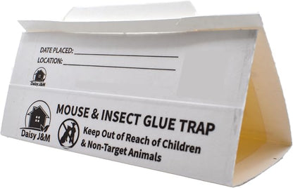 Daisy J&M E72 Glue Boards - 72 Count