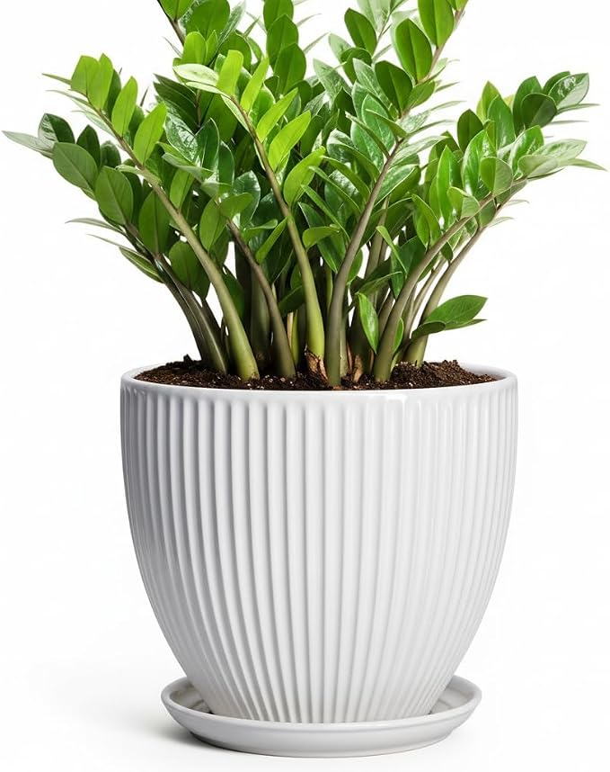 10 Inch Planter, Ceramic Plant Pots with Drainage Hole and Saucer, Modern Large Planters for Indoor Plants, Round Planter, Decorative Flower Pots, Living Room Decor, Gifts for Men Women, White