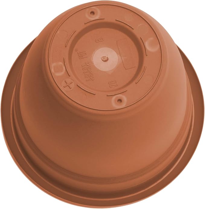 Bloem Ariana 6" Plastic Self-Watering Planter, Terra Cotta, 4-Pack | Self-watering disk at the bottom of each pot that acts as a water wick and reservoir for optimal plant health