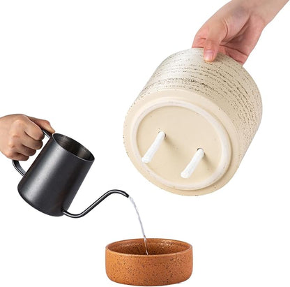 6 Inch Ceramic Self Watering Planter with Drainage Hole, Brush | Indoor Plant Pot with Water Storage Plus - for African Violet, Herbs & Pothos - Home & Office Decor, Cylinder Round
