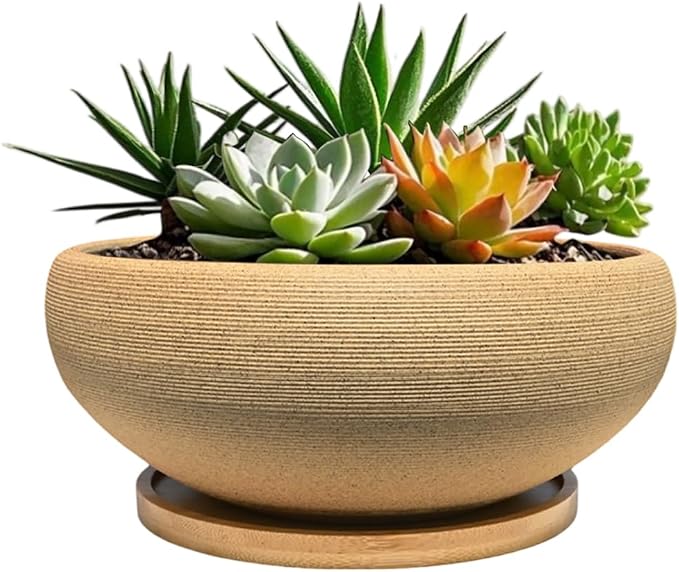 MUZHI 6 inch Succulent Pot - Unglazed Ceramic Bonsai Pot with Bamboo Tray, Rustic Pottery Cactus Planter with Drainage Hole Indoor Outdoor