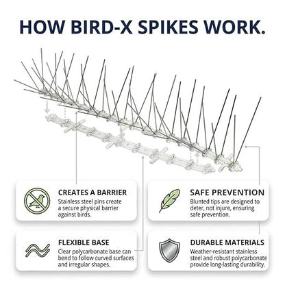 Bird-X Stainless Bird Spikes 8-Inch Extra-Wide, 2 Ft Strips, 100 Feet | Stainless Steel, Flexible Polycarbonate, Pigeons and Sparrows, Outdoor Areas