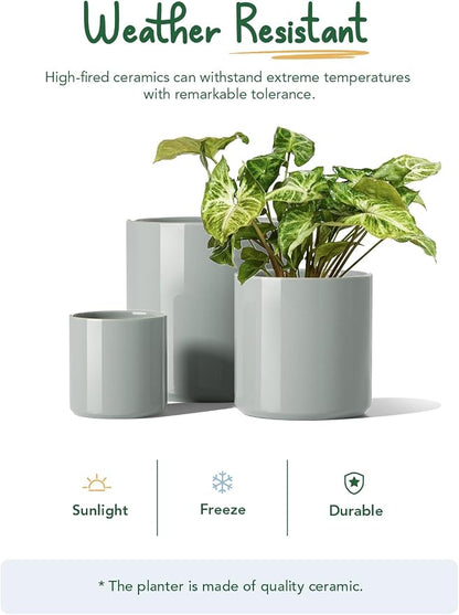 LE TAUCI 10+8+6 Inch Ceramic Pots for Plants, Indoor Planters with Drainage Hole and Plug, Modern Cylinder Flower Pots Set of 3 for Living Room and Bedroom, Glossy, Mist Gray