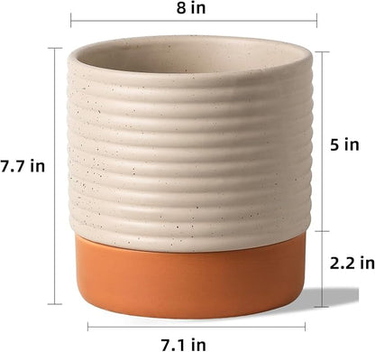 8 Inch Ceramic Self Watering Planter with Drainage Hole, Beige | Indoor Plant Pot with Water Storage Plus - for African Violet, Herbs & Pothos - Home & Office Decor, Cylinder Round