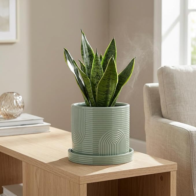 6 Inch Ceramic Plant Pot with Drainage Hole & Tray – Indoor Planter for Succulents, Herbs & Houseplants – Modern Ceramic Planter with Mesh Pad, Dibber & Widger – Sage Green