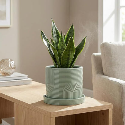 6 Inch Ceramic Plant Pot with Drainage Hole & Tray – Indoor Planter for Succulents, Herbs & Houseplants – Modern Ceramic Planter with Mesh Pad, Dibber & Widger – Sage Green