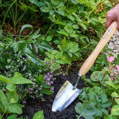 Burgon & Ball Mid-Handled Stainless Steel Trowel, Wood Grip