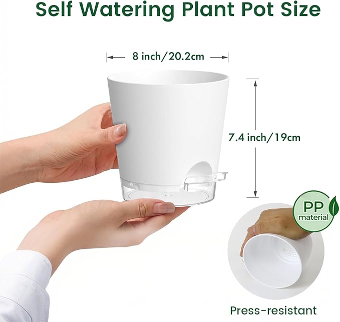 Meowell 8 inch Self Watering Pots for Indoor Outdoor Plants, 2 Pack Flower Plant Pots with Drainage Holes & Clear Reservoir for Visible Water Level, Plastic Wicking Planters for House Plants, White