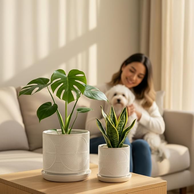 Ceramic Plant Pots, Pots for Plants(4.5+5.5inch), Flower Pots for Indoor planters with Drainage and Tray, Indoor Plant Pots for Succulents Cactus Herbs - Small Planters for Home Office Decor