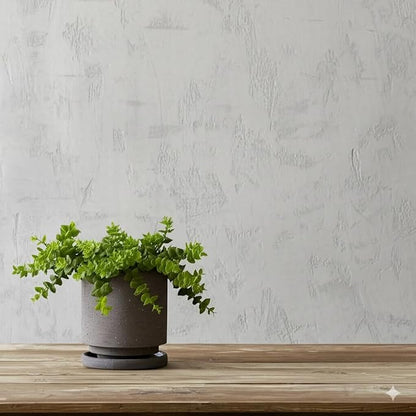 Nihow Ceramic Plant Pot Drainage Hole & Saucer for Indoor Plants, 5.7 Inch | Charcoal Gray, Cylinder Planters, Art Modem Design, Home Garden Patio Office