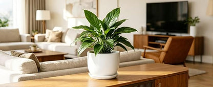 8 Inch Ceramic Planter, Plant Pots with Drainage Hole and Separable Saucer,Indoor-Outdoor Round Succulent Orchid Flower Pot,Indoor pots for Plants(White,Plant Pot only)