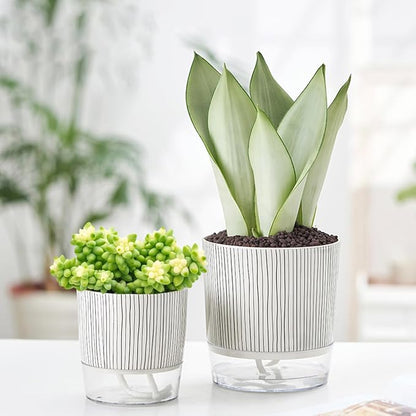 3 Pack 4.3+5.5+6.3 Inch Self Watering Pots Set, Self Watering Planter with Reservoir and Wick Rope for Indoor/Outdoor Plants, Modern Houseplants Pots for African Violets,Cactus,Succulents