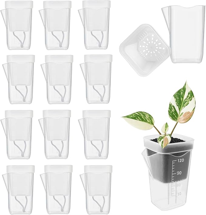 20 Set Clear Self Watering Pots for Indoor Plants, 2'' Mini Self Watering Planters with Wicks & Water Level Indicator, Plastic Automatic-Watering Pot for African Violet, Succulent (Plant Not Included)
