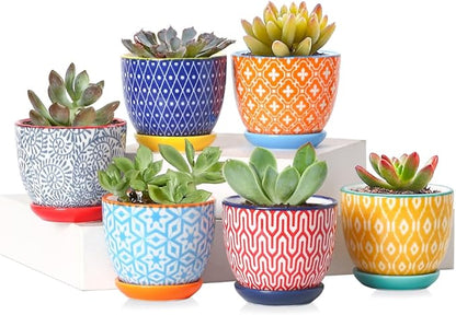 Selamica Ceramic 2.4 Inch Succulent Pots, Mini Flower Pots for Cactus Plant with Drainage Holes & Saucers, Home Decor, Set of 6, Assorted Colors