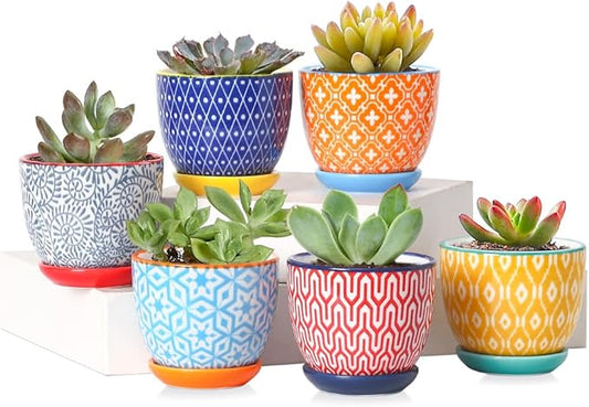 Selamica Ceramic 2.4 Inch Succulent Pots, Mini Flower Pots for Cactus Plant with Drainage Holes & Saucers, Home Decor, Set of 6, Assorted Colors