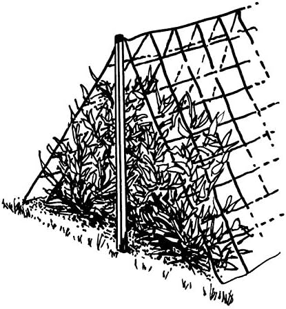 Luster Leaf 867 RapiClip Trellis Netting, 5x60 Feet, Green