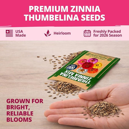 HOME GROWN Thumbelina Zinnia Seeds (1g) – 500 Dwarf Zinnia for Planting 2026, Spring Flower Seeds to Plant Outside, Easy Summer Garden Bloom for Containers & Borders (Zinnia elegans)