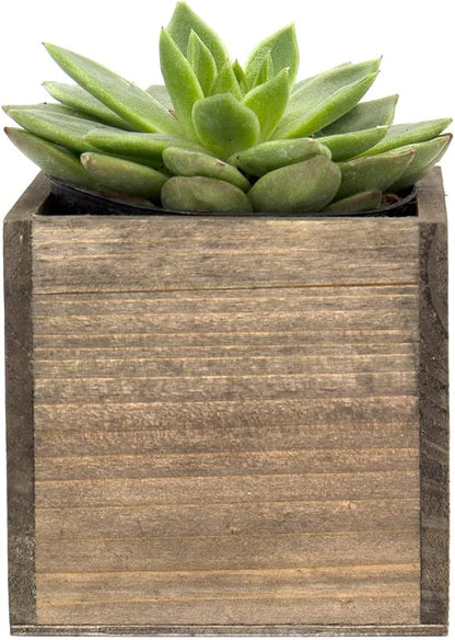 CYS EXCEL Cube Planter Box with Removable Plastic Liner (4"x4"x4")(4 PCS) | Multiple Size Choices Wood Square Planter | Indoor Decorative Window Box