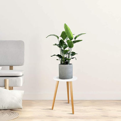 Uneedem Plant Stand Indoor, Mid Century Modern Small Round Plant Table for Flower Pots, 16.5" Tall Plant Holder Wood Stool for Living Room (2 Pack)