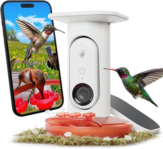 Birdbuddy Solar Hummingbird Feeder with Camera, AI Bird ID, 2K Video, Photo