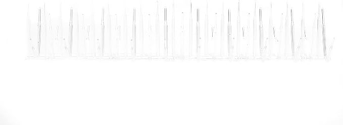 Bird B Gone, Plastic Bird Spikes, 7-Inch Wide (24-Feet), Clear, UV Stabilized Polycarbonate