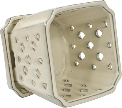 W&W Orchid Pot with Holes and Saucer for Repotting and Better Grow, Cream White, 7"
